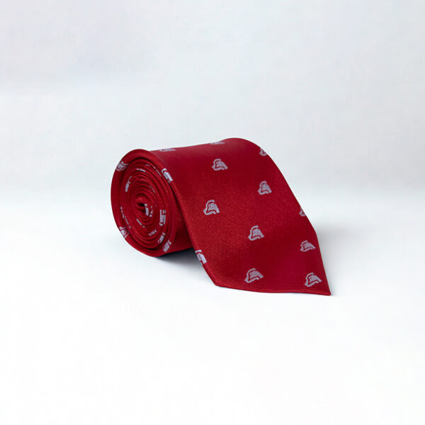 King Charles coronation tie